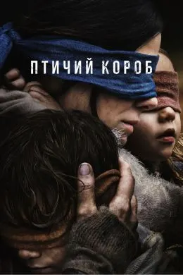 Bird Box