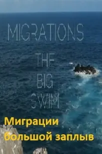 Миграции: большой заплыв
