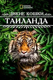 Гурбаҳои ваҳшии Таиланд
