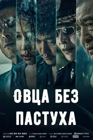Овца без пастуха