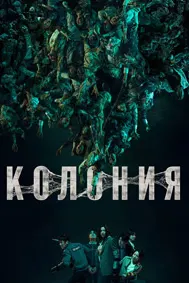 Колония