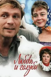 Ишқ ва кафтарҳо