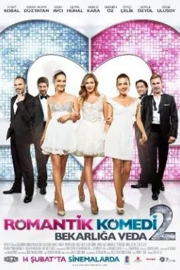 Romantic Comedy 2: Farewell to Bachelorhood