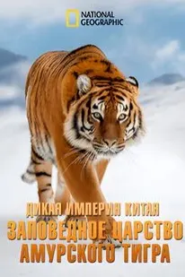 China's Wild Empire: Amur Tiger Secret Kingdom