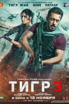 Тигр 3
