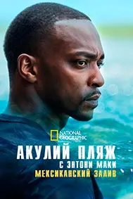Shark Beach with Anthony Mackie: Gulf Coast