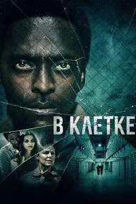 В клетке