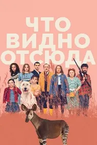 Что видно отсюда