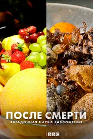 BBC. После смерти. Загадочная наука разложения /
