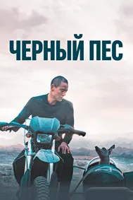 Чёрный пёс