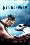 Bylteryer