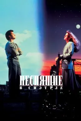 Бехобон дар Сиэтл