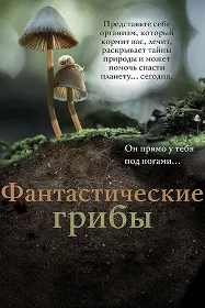 Занбӯруғҳои афсонавӣ