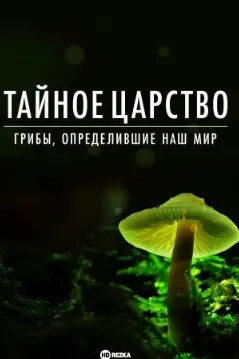 Салтанат: Замбуруғҳо чӣ гуна ҷаҳони моро офариданд