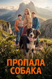 The Lost Dog