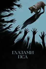 Бо назари саг