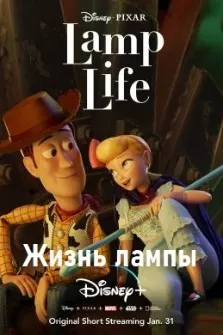 Жизнь лампы