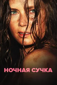Ночная сучка