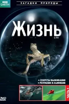 BBC: Ҳаёт