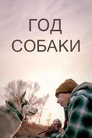 Год собаки