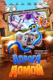 Дорога домой