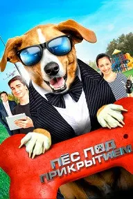 Agent Toby Barks