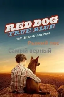 Саги сурх: Вафодортарин
