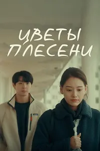 Цветы плесени