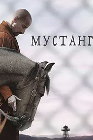 Мустанг