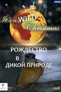 Рождество в дикой природе