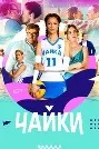Чайкаҳо