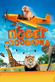 Побег из зоопарка