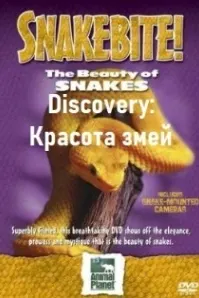 Discovery: Красота змей