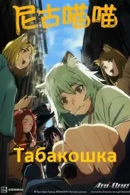 Гурбаи тамокукаш