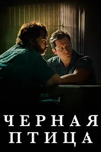 Чёрная птица