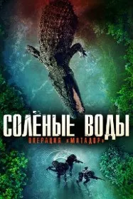 Ҷанг барои ҷазираи Рамри