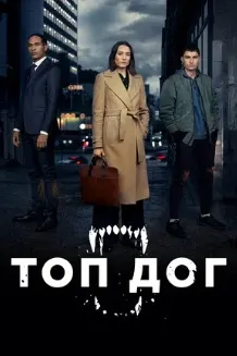 Топ Дог