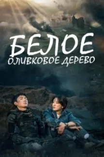 Дарахти сафеди зайтун