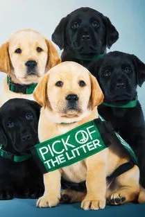 Pick of the Litter