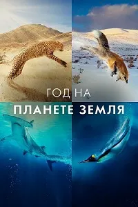 A Year on Planet Earth