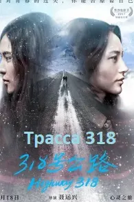 Трасса 318