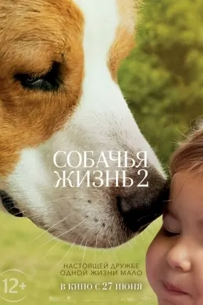 Собачья жизнь 2