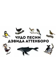 Чудо песни Дэвида Аттенборо