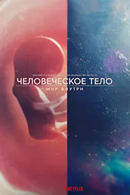 Бадани инсон: ҷаҳони дарунӣ
