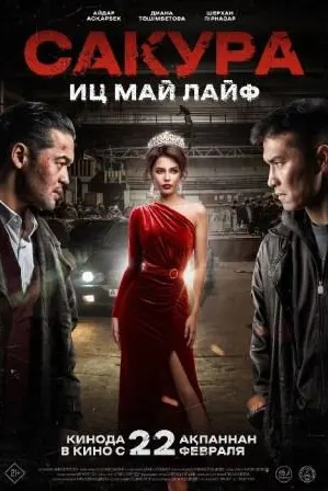 Сакура. Иц май лайф