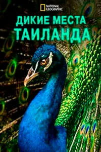Ҷойҳои ваҳшии Таиланд