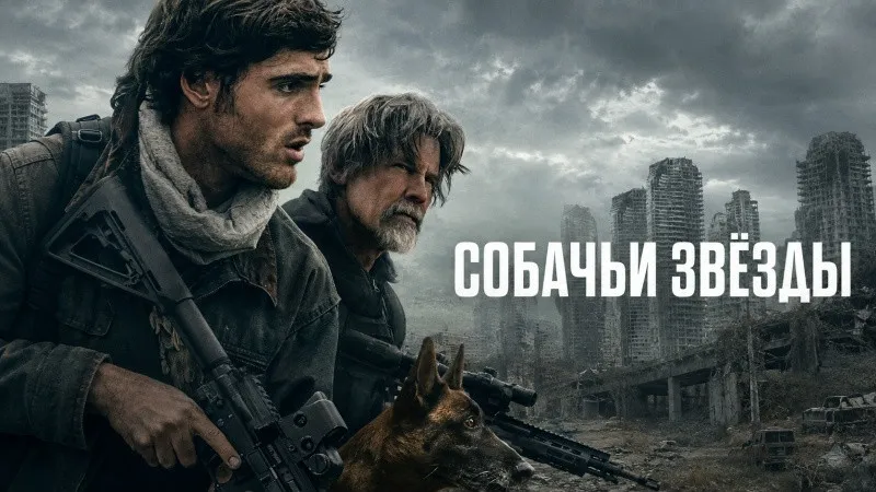 Собачьи звёзды